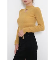 Zhlbutik Yarım Balıkçı Dekolteli Body Bluz (Hardal)