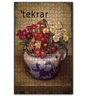 Cakapuzzle Saksıda Kırmızı Beyaz Menekşe Çiçek Görseli Puzzle Yapboz MDF (Ahşap) (255 Parça)