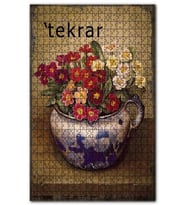 Cakapuzzle Saksıda Kırmızı Beyaz Menekşe Çiçek Görseli Puzzle Yapboz MDF (Ahşap) (255 Parça)