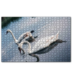 Cakapuzzle Fırtına Çocuk ve Pelikan  Puzzle Yapboz MDF (Ahşap) (500 Parça)