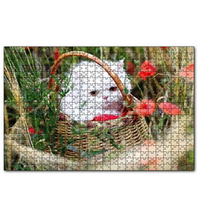 Cakapuzzle Beyaz Kedi Sepet İçinde Doğada  Puzzle Yapboz MDF (Ahşap) (255 Parça)