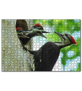 Cakapuzzle Ağaçkakan ve Yuvada Aç Yavruları  Puzzle Yapboz MDF (Ahşap) (255 Parça)