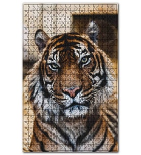 Cakapuzzle Yorgun Kaplan Yakın Çekim Puzzle Yapboz MDF (Ahşap) (1000 Parça)