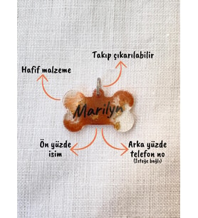 Kemik Şeklinde Renkli-Şeffaf  Kedi/ Köpek- İsimliği/ Künyesi (Karamel)