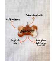 Kemik Şeklinde Renkli-Şeffaf  Kedi/ Köpek- İsimliği/ Künyesi (Karamel)
