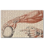 Cakapuzzle İnsan Anatomisi El Ve Kol Bilye Görseli  Puzzle Yapboz MDF (Ahşap) (255 Parça)