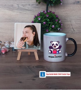 Sevimli Panda Fotoğraflı Dekoratif Taş, Kupa Bardak Beyaz Hediye (Model 9)