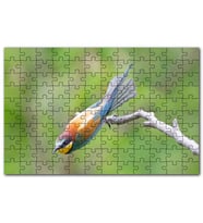 Cakapuzzle Daldan Ayrılmak Üzere Olan Rengarenk Kuş Puzzle Yapboz MDF (Ahşap) (1000 Parça)