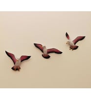 Üçlü Kuş Duvar Süsü Dekoratif Üçlü Martı (Pembe)