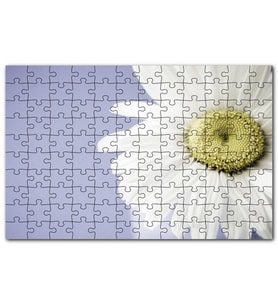 Cakapuzzle Papatya Yakın Çekim Gökyüzü Arkaplan Puzzle Yapboz MDF (Ahşap) (255 Parça)