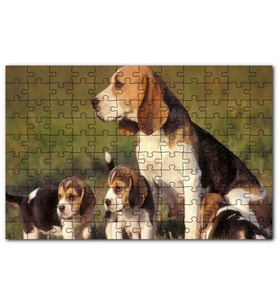 Cakapuzzle Anne Beagle ve Sevimli Yavruları Puzzle Yapboz MDF (Ahşap) (255 Parça)