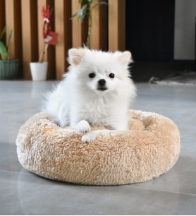 Köpek - Kedi Evcil Hayvan Yatağı (Bej)