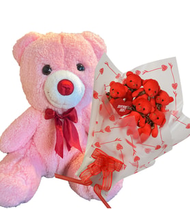 SOLE Anneler  Gününe ÖZEL:  Sevimli 35 cm Peluş Ayı ile Premium Yumoş Kırmızı Peluş Ayıcık Buketi (Pembe)