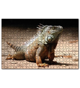 Cakapuzzle Kumlar Üzerinde Görkemli İguana  Puzzle Yapboz MDF (Ahşap) (500 Parça)