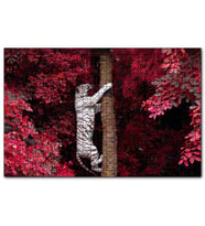 Cakapuzzle Kırmızı Yapraklar ve Ağaca Tırmanan Beyaz Kaplan  Puzzle Yapboz MDF (Ahşap) (1000 Parça)