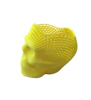 Nct  3D Printer Baskı Özel Meshli Kuru Kafa Kalemlik Siyah (Sarı)