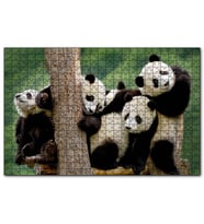 Cakapuzzle Dalda Oynayan Yavru Pandalar  Puzzle Yapboz MDF (Ahşap) (1000 Parça)
