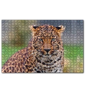 Cakapuzzle Genç Leopar  Puzzle Yapboz MDF (Ahşap) (1000 Parça)