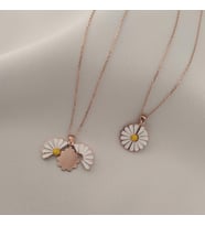 Ki·şi·ye Özel Açılabilir I·si·mli· Gümüş Kolye (Rose)
