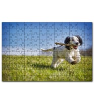 Cakapuzzle Çayırda Oyun Oynayan Sevimli Köpek Puzzle Yapboz MDF (Ahşap) (500 Parça)