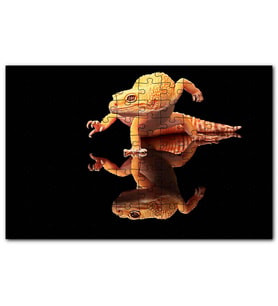 Cakapuzzle Geko Kertenkelesi Cam Zeminde Görsel Puzzle Yapboz MDF (Ahşap) (1000 Parça)