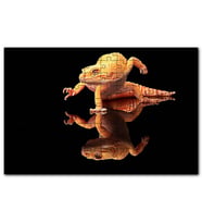 Cakapuzzle Geko Kertenkelesi Cam Zeminde Görsel Puzzle Yapboz MDF (Ahşap) (1000 Parça)