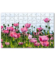Cakapuzzle Çayırda Pembe Gelincikler ve Gökyüzü Puzzle Yapboz MDF (Ahşap) (1000 Parça)