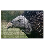 Cakapuzzle Gri Başlı Siyah Akbaba Yakın Çekim  Puzzle Yapboz MDF (Ahşap) (255 Parça)