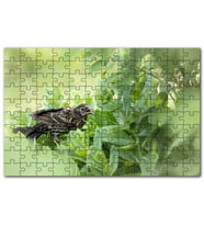 Cakapuzzle Yeşil Yaprakların Arasındaki Bıldırcın Puzzle Yapboz MDF (Ahşap) (500 Parça)