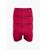 Anıt Erkek İnce Belli Bambu Likralı Boxer 1273 -12 Adet (Bordo)