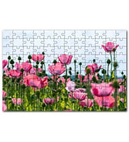 Cakapuzzle Çayırda Pembe Gelincikler ve Gökyüzü Puzzle Yapboz MDF (Ahşap) (1000 Parça)