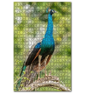 Cakapuzzle Dal Üzerinde Hint Tavuskuşu Görseli Puzzle Yapboz MDF (Ahşap) (255 Parça)