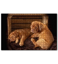 Cakapuzzle Kasadaki Kahverengi Boxer Yavruları  Puzzle Yapboz MDF (Ahşap) (1000 Parça)
