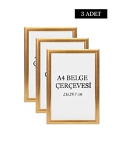 3 Lü Set A4(21x29.7) Diploma Çerçevesi Belge Çerçeveleri Sertifika Çerçevesi (Gold)