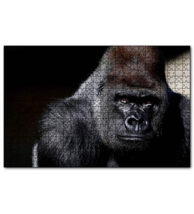 Cakapuzzle Western Lowland Gorilla Görseli  Puzzle Yapboz MDF (Ahşap) (1000 Parça)