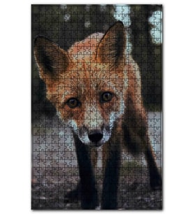 Cakapuzzle Meraklı Küçük Kızıl Tilki Puzzle Yapboz MDF (Ahşap) (1000 Parça)