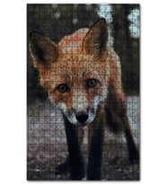 Cakapuzzle Meraklı Küçük Kızıl Tilki Puzzle Yapboz MDF (Ahşap) (1000 Parça)
