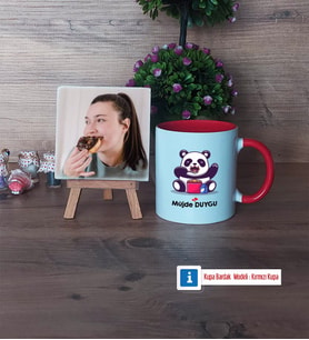 Sevimli Panda Fotoğraflı Dekoratif Taş, Kupa Bardak Beyaz Hediye (Model 2)