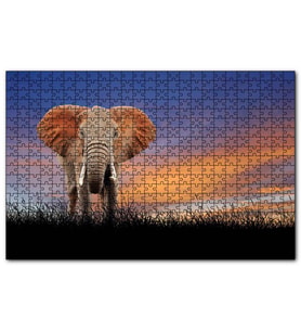 Cakapuzzle Çayırdaki Yetişkin Fil ve Kızıl Gökler  Puzzle Yapboz MDF (Ahşap) (1000 Parça)