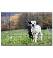 Cakapuzzle Çayırda Beyaz ve Siyah Kuzular Flu Arkaplan Puzzle Yapboz MDF (Ahşap) (500 Parça)