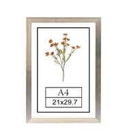A4 21X29.7 CM Fotoğraf Çerçevesi Modern Ofis Sanat Ev Home Ofis Dekoratif Çerçeveler Ev Oturma Odası Salon Dekorasyon Resim Çerçeveleri Diploma Belge Sertifika Çerçeveleri (Gümüş)