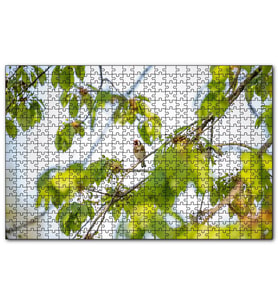 Cakapuzzle Ağacın Dalları Arasındaki Kırmızı Yüzlü Kuş  Puzzle Yapboz MDF (Ahşap) (255 Parça)