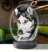 Köpeklere Özel Kişisel Oval 3d Modelli Gece Lambası (Beyaz)