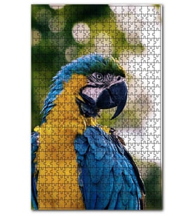 Cakapuzzle Sarı Mavi Macaw Papağanı Puzzle Yapboz MDF (Ahşap) (500 Parça)