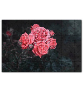 Cakapuzzle Bir Arada Pembe Güller Puzzle Yapboz MDF (Ahşap) (500 Parça)