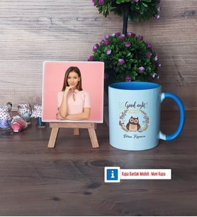 Baykuş Fotoğraflı Dekoratif Taş, Kupa Bardak Beyaz Hediye (Model 4)