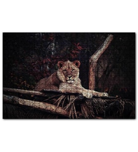 Cakapuzzle  Dişi Aslan Dinleniyor  Puzzle Yapboz MDF (Ahşap) (1000 Parça)