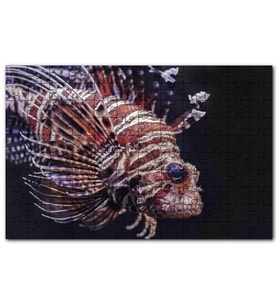 Cakapuzzle Aslan Balığı Yakın Çekim Karanlık Arkaplan Puzzle Yapboz MDF (Ahşap) (1000 Parça)