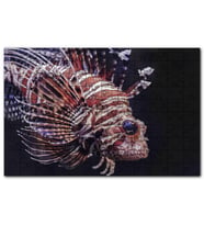 Cakapuzzle Aslan Balığı Yakın Çekim Karanlık Arkaplan Puzzle Yapboz MDF (Ahşap) (1000 Parça)