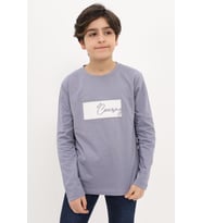 Toontoy Erkek Çocuk Nakışlı Tişört (Gri)